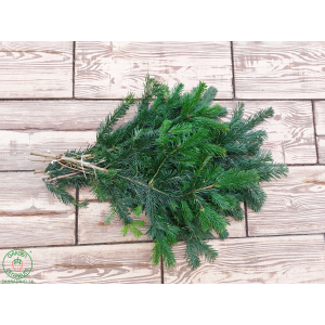 Vetvičky z normandskej jedličky (Abies Nordmanniana) - dĺžka 70-90 cm, 2-6 ks vo zväzku